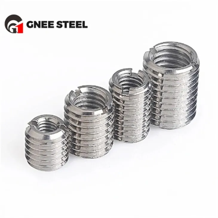 Stainless Steel SS304 SS316 Insert Nuts